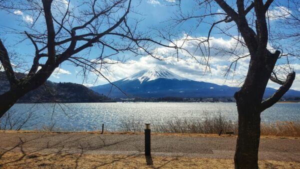 Mount Fuji, Hakone and Lake Ashi Cruise Day Trip - Tips for Travelers