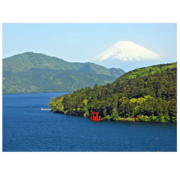 Mount Fuji & Hakone Customized Private English Guided Tour - Booking and Cancellation Policies