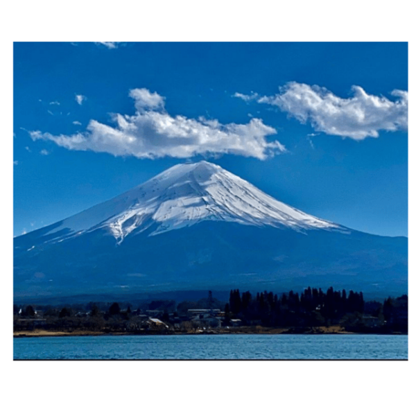 Mount Fuji & Hakone Customized Private English Guided Tour - Frequently Asked Questions