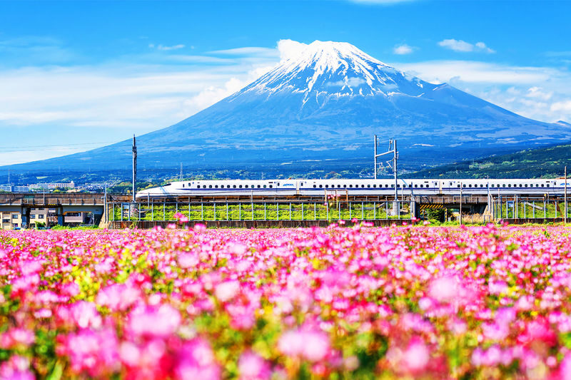 Mount Fuji & Hakone Day Trip: 5th Station/World Heritage Center & Owakudani & Hakone (Includes Ropeway Experience, Lunch & Return Bullet Train Options) - One day from Mount Fuji to Hakone