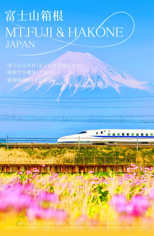 Mount Fuji & Hakone Day Trip: 5th Station/World Heritage Center & Owakudani & Hakone (Includes Ropeway Experience, Lunch & Return Bullet Train Options) - Fuji’s 5th Station or the World Heritage Centre