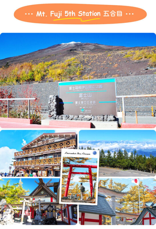 Mount Fuji & Hakone Day Trip: 5th Station/World Heritage Center & Owakudani & Hakone (Includes Ropeway Experience, Lunch & Return Bullet Train Options) - Across Lake Ashi on the pirate ship