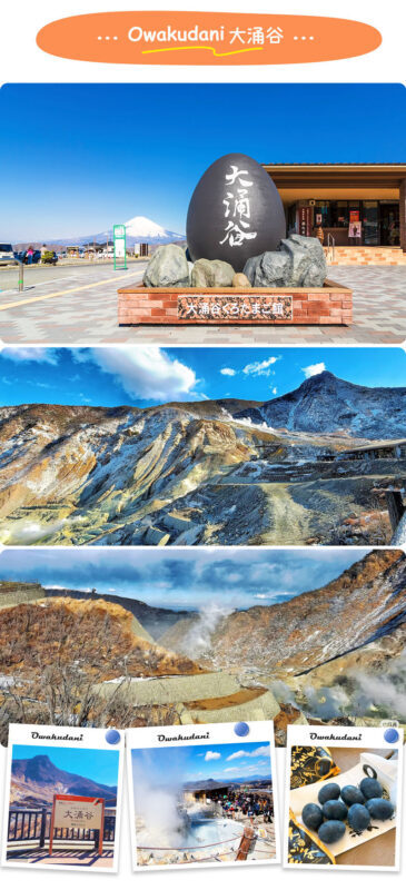 Mount Fuji & Hakone Day Trip: 5th Station/World Heritage Center & Owakudani & Hakone (Includes Ropeway Experience, Lunch & Return Bullet Train Options) - Who should book this Mount Fuji and Hakone trip?
