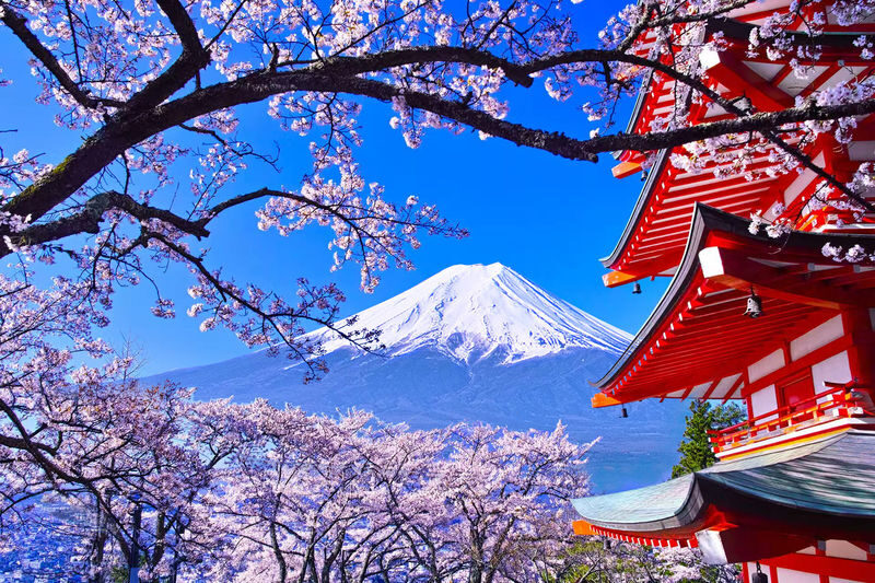 Mount Fuji & Hakone Day Trip: Arakurayama Sengen Park + Oshino Hakkai + Hakone Owakudani + Aerial Cable Car + Lake Ashi Pirate Ship (Departing from Tokyo) - One day, two very different sides of Mount Fuji