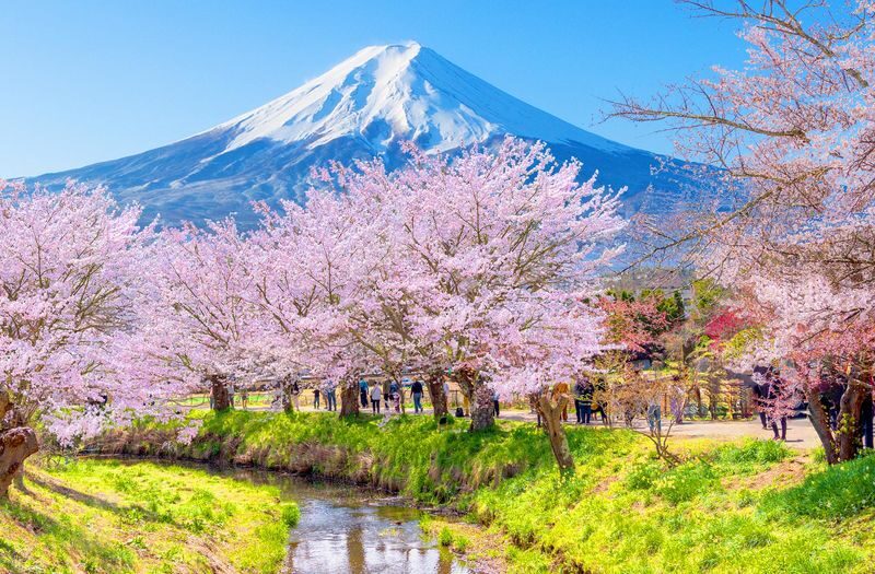 Mount Fuji & Hakone Day Trip: Arakurayama Sengen Park + Oshino Hakkai + Hakone Owakudani + Aerial Cable Car + Lake Ashi Pirate Ship (Departing from Tokyo) - Oshino Hakkai’s clear spring ponds