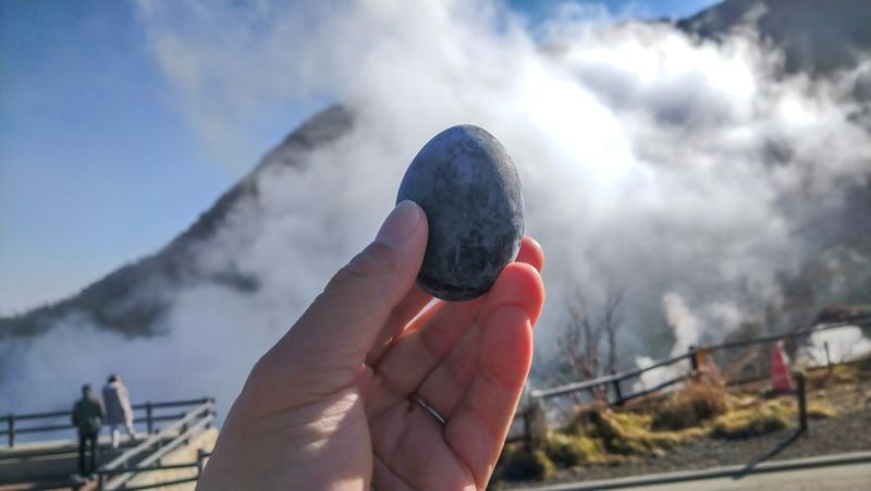 Mount Fuji & Hakone Day Trip: Arakurayama Sengen Park + Oshino Hakkai + Hakone Owakudani + Aerial Cable Car + Lake Ashi Pirate Ship (Departing from Tokyo) - Who should book this trip?