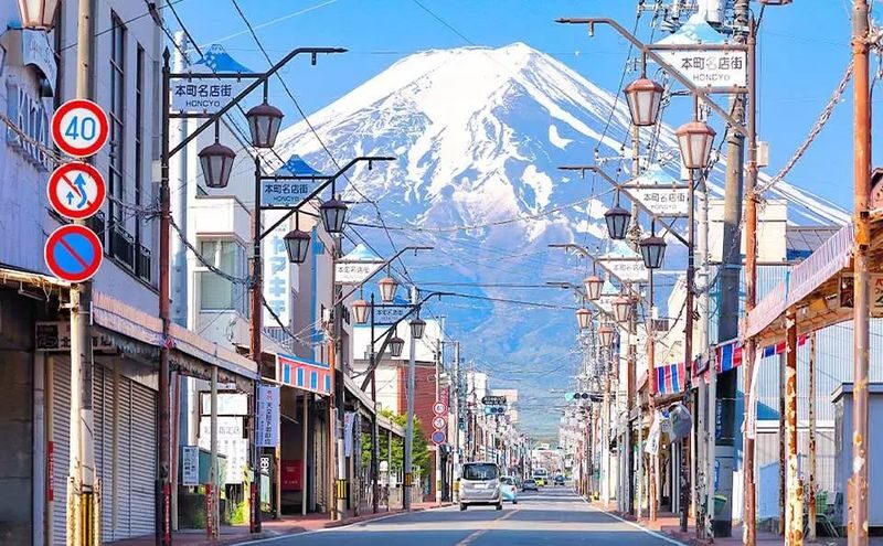 Mount Fuji & Hakone Day Trip - Customized Private Tour - One car, two very different regions