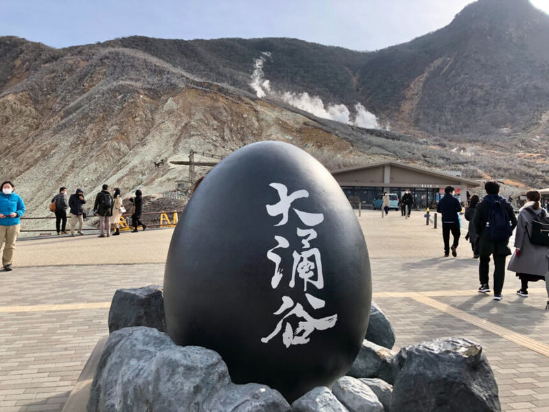 Mount Fuji & Hakone Day Trip - Customized Private Tour - The driver handles the road, not the guiding