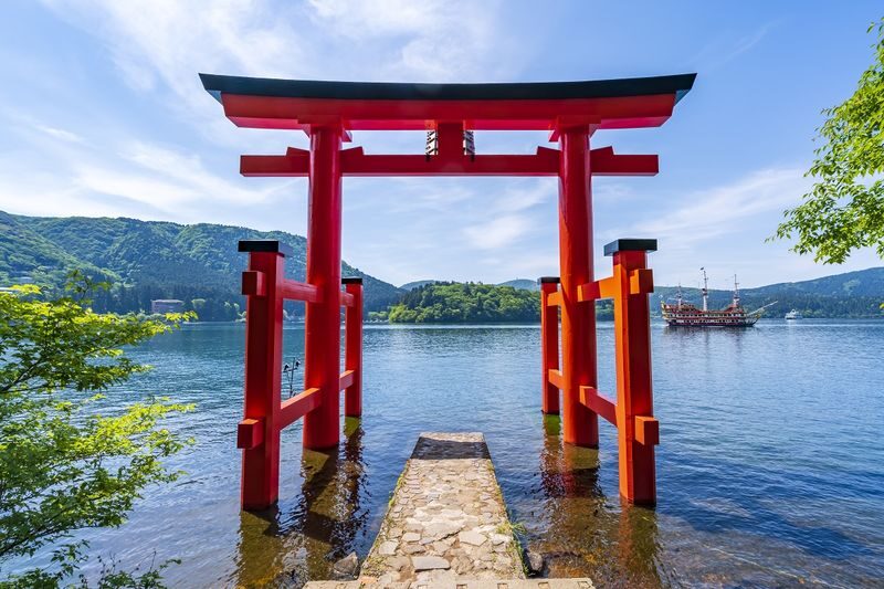 Mount Fuji & Hakone Day Trip - Customized Private Tour - Choose a vehicle for comfort and luggage
