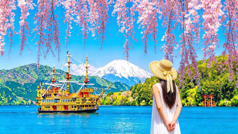 Mount Fuji Hakone Day Trip: Owakudani & Lake Ashi Pirate Ship & Lake Yamanaka & Oshino Hakkai & Ropeway Experience Tour (From Tokyo) - One day, two very different sides of Mount Fuji