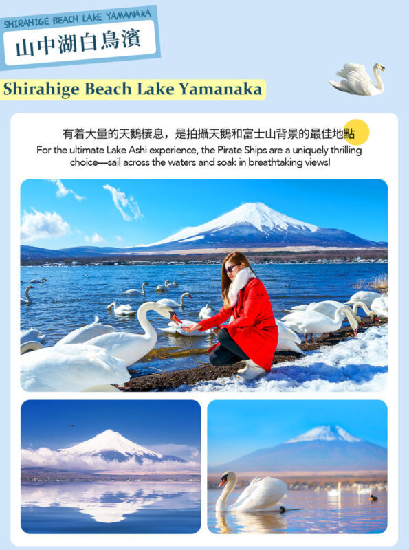 Mount Fuji Hakone Day Trip: Owakudani & Lake Ashi Pirate Ship & Lake Yamanaka & Oshino Hakkai & Ropeway Experience Tour (From Tokyo) - Who should book this Fuji and Hakone trip?