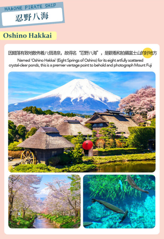 Mount Fuji Hakone Day Trip: Owakudani & Lake Ashi Pirate Ship & Lake Yamanaka & Oshino Hakkai & Ropeway Experience Tour (From Tokyo) - The booking decision