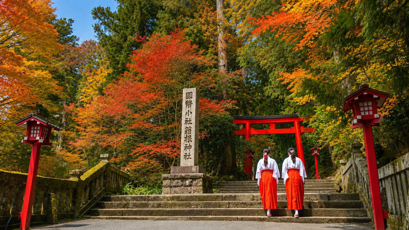 Mount Fuji & Hakone Full-Day Discovery - Crossing Lake Ashi by pirate ship