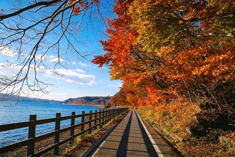 Mount Fuji & Hakone Full-Day Discovery - Guides, group size and the pace of the day