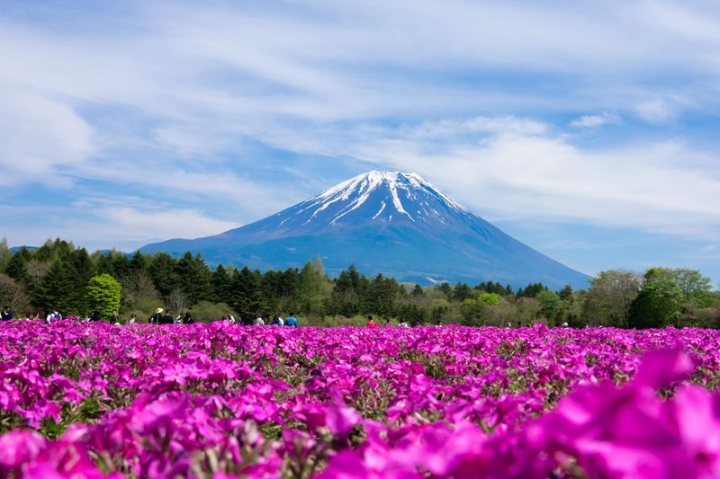 Mount Fuji, Hakone Full-Day Private Tour - Hakone, Owakudani, and the ropeway question