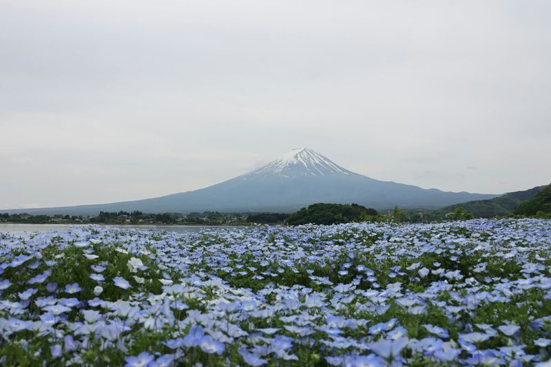 Mount Fuji, Hakone Full-Day Private Tour - Car space can make or break the day