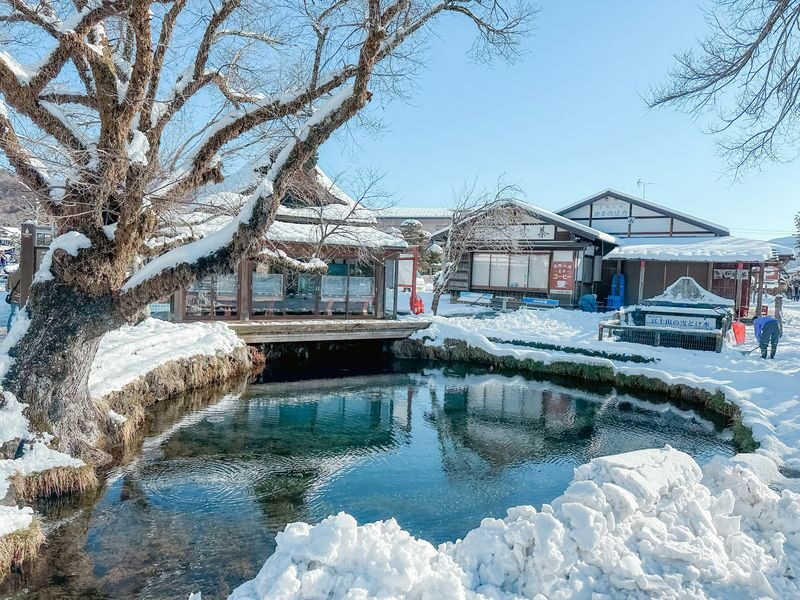 Mount Fuji, Hakone Full-Day Private Tour - Who should consider this tour