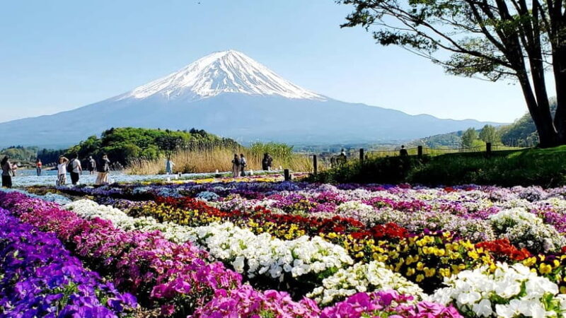 Mount Fuji & Hakone Full-Day Private Tour (Customizable) - An In-Depth Look at the Tour Experience