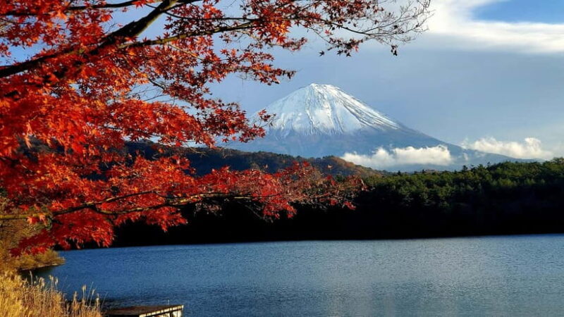 Mount Fuji & Hakone Full-Day Private Tour (Customizable) - Authentic Experiences from Other Travelers