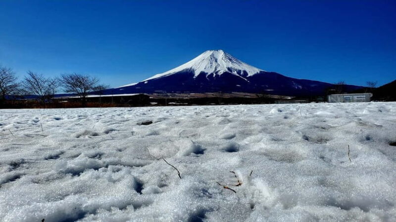 Mount Fuji & Hakone Full-Day Private Tour (Customizable) - FAQ