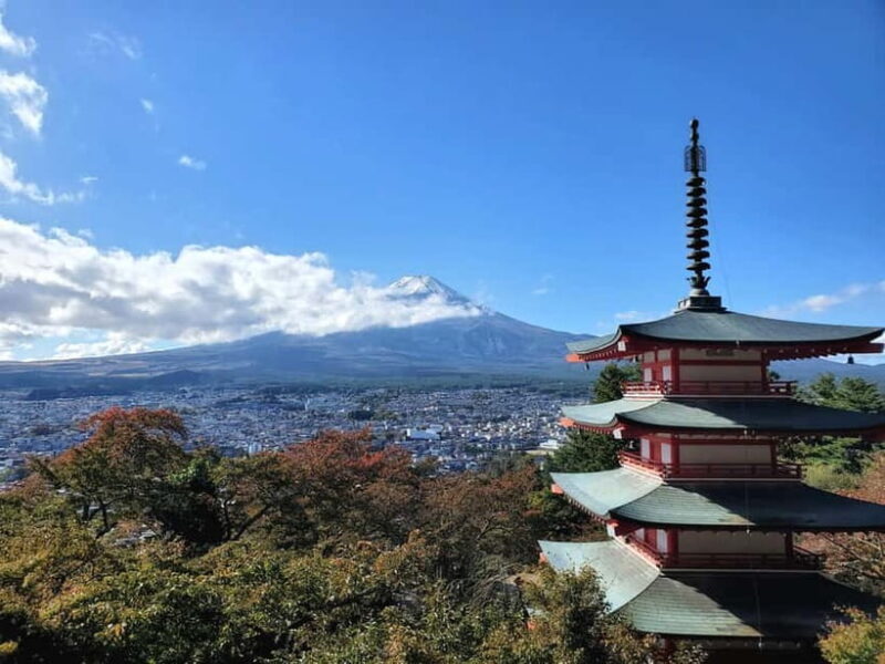 Mount Fuji & Hakone Full-Day Private Tour (Customizable) - Who Should Consider This Tour