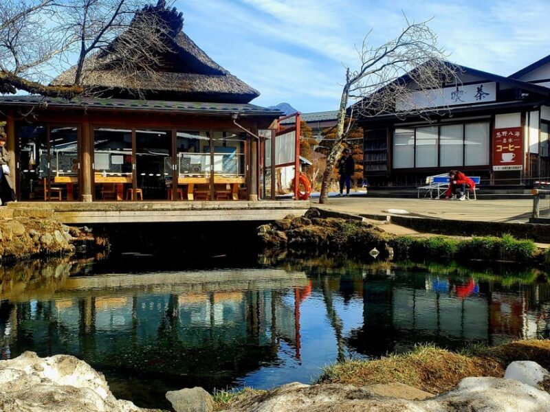 Mount Fuji & Hakone Full-Day Private Tour (Customizable) - The Sum Up