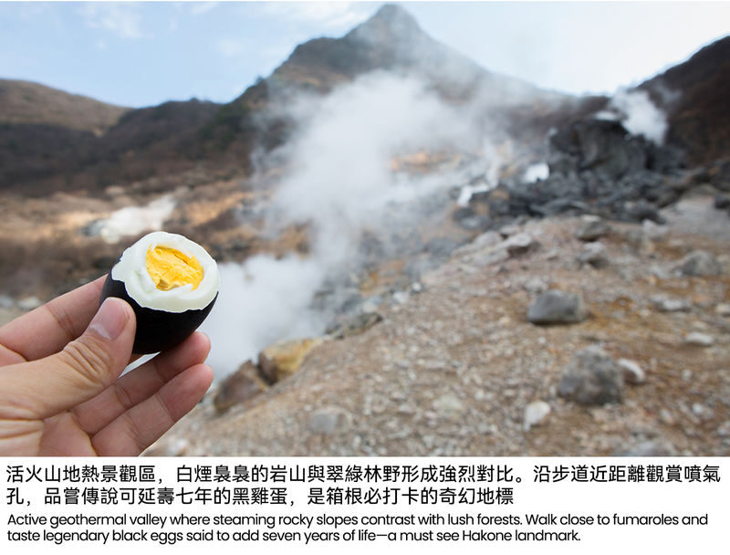 Mount Fuji/Hakone/Kamakura Day Trip: Classic Mountain Lake Secrets-Volcanic Wonders-Enoshima Scenery (Multiple Routes Available) - The long ride, group format, and safety