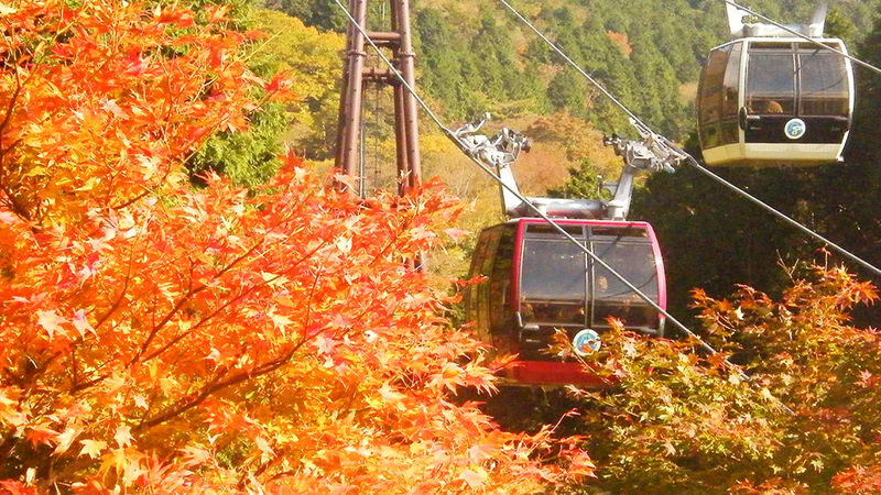 Mount Fuji, Hakone, Kamakura Day Trip | Hakone Pirate Ship, Aerial Tramway & Lake Ashi & Owakudani & Kamakura Enoshima Day Trip | Departure from Tokyo - The ropeway to Owakudani’s volcanic ground