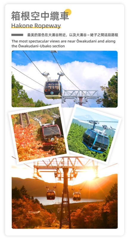 Mount Fuji & Hakone - Lake Ashi Torii Gate, Hakone Shrine, Hakone Pirate Ship, Hakone Ropeway, Owakudani, Lake Yamanaka & Oshino Hakkai Day Trip: Sea, Land, and Air Panoramic Tour from Tokyo - What the price buys, and what it does not