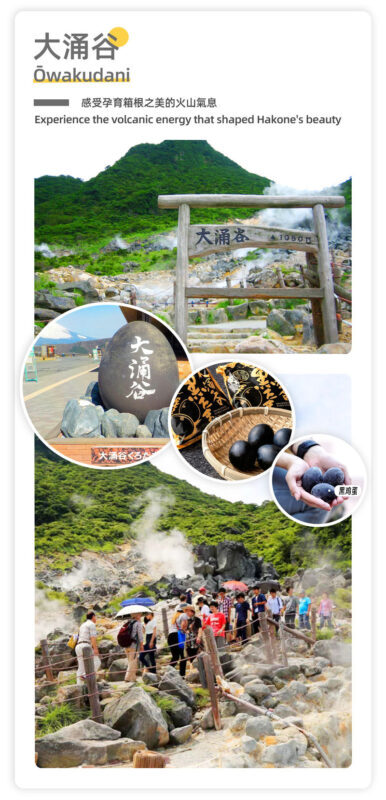 Mount Fuji & Hakone - Lake Ashi Torii Gate, Hakone Shrine, Hakone Pirate Ship, Hakone Ropeway, Owakudani, Lake Yamanaka & Oshino Hakkai Day Trip: Sea, Land, and Air Panoramic Tour from Tokyo - Timing, weather, luggage, and other practical details