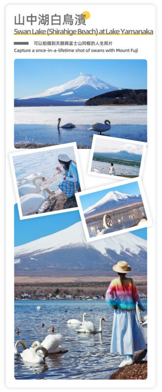 Mount Fuji & Hakone - Lake Ashi Torii Gate, Hakone Shrine, Hakone Pirate Ship, Hakone Ropeway, Owakudani, Lake Yamanaka & Oshino Hakkai Day Trip: Sea, Land, and Air Panoramic Tour from Tokyo - Who should book this Fuji and Hakone day trip?