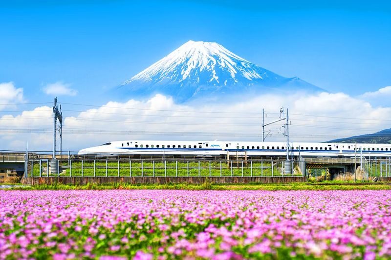 Mount Fuji & Hakone: Owakudani & Hakone Ropeway & Pirate Ship Day Trip (Optional Shinkansen Return) - Key points before you book