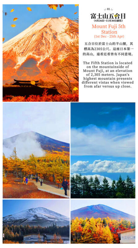 Mount Fuji & Hakone: Owakudani & Hakone Ropeway & Pirate Ship Day Trip (Optional Shinkansen Return) - A full day linking Fuji and Hakone