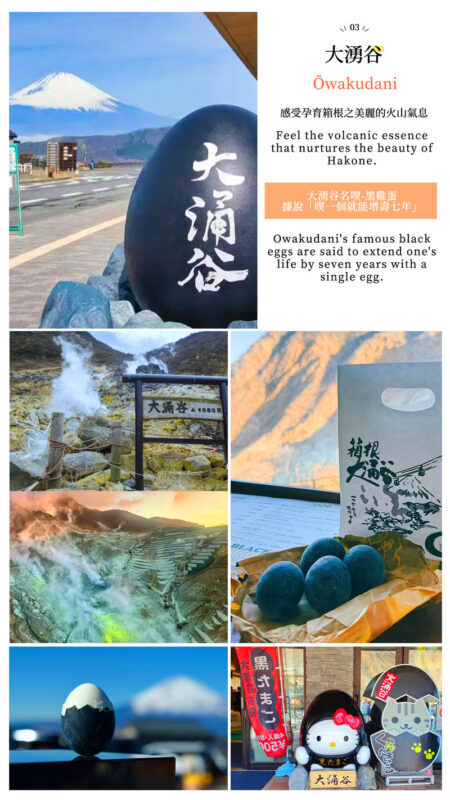 Mount Fuji & Hakone: Owakudani & Hakone Ropeway & Pirate Ship Day Trip (Optional Shinkansen Return) - Owakudani: a different side of the trip