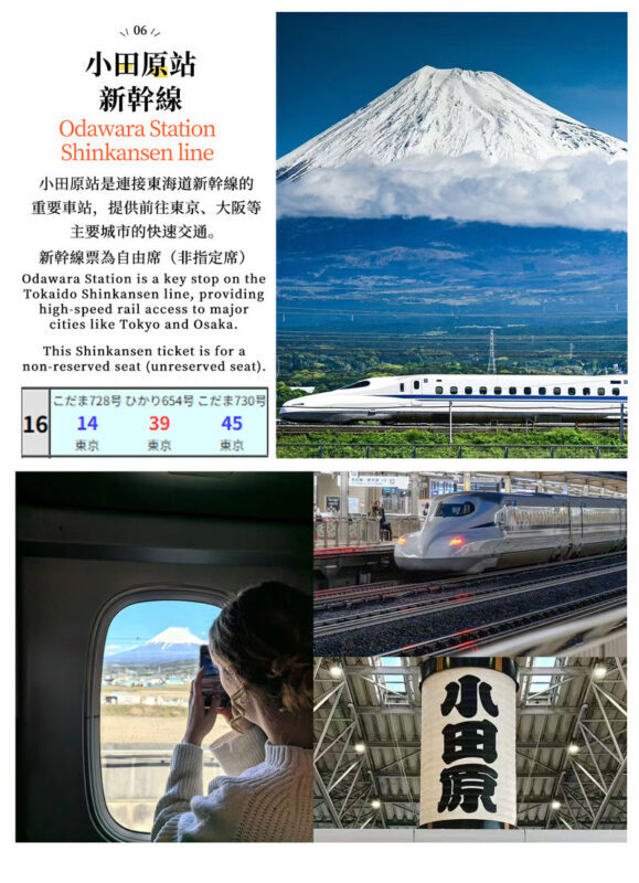 Mount Fuji & Hakone: Owakudani & Hakone Ropeway & Pirate Ship Day Trip (Optional Shinkansen Return) - Guides and transport: the day’s strongest asset