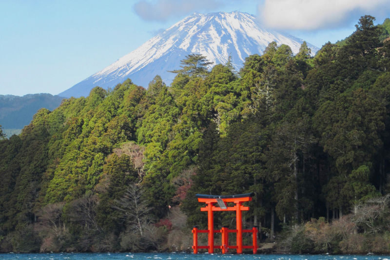 Mount Fuji & Hakone | Owakudani & Hakone Shrine & Lake Ashi Water Torii & Amphibious Ninja Bus | Pirate Ship Experience Day Trip - The amphibious bus: fun, but keep the ride in perspective