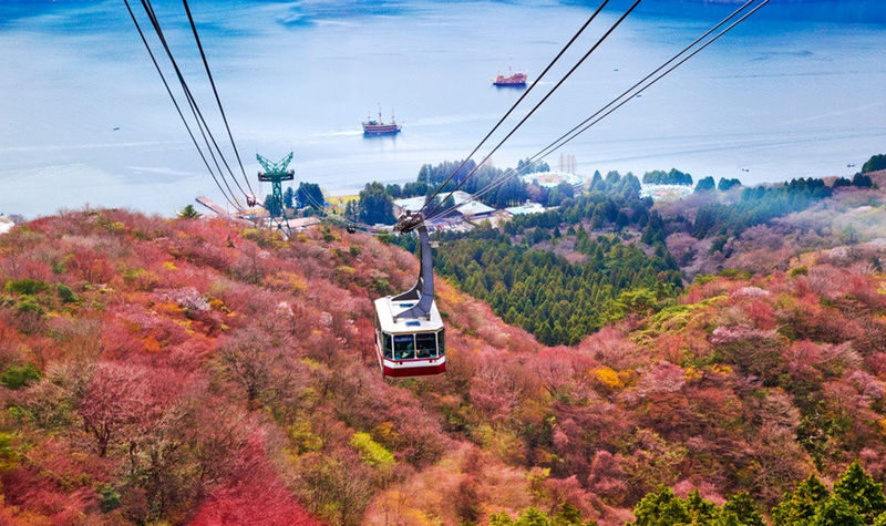 Mount Fuji & Hakone | Owakudani & Hakone Shrine & Lake Ashi Water Torii & Amphibious Ninja Bus | Pirate Ship Experience Day Trip - Who should book this day trip?