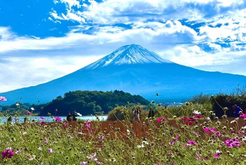 Mount Fuji & Hakone Private English Customized Tour - Why This Tour Offers Great Value