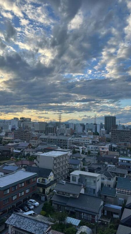 Mount Fuji & Hakone Private English Customized Tour - Why This Tour Offers Great Value