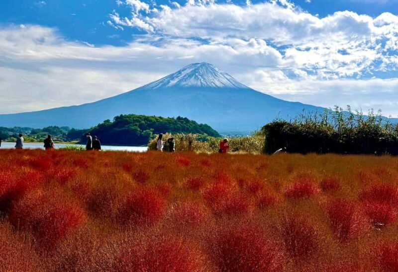 Mount Fuji & Hakone Private English Customized Tour - Final Thoughts: Is This Tour Right for You?