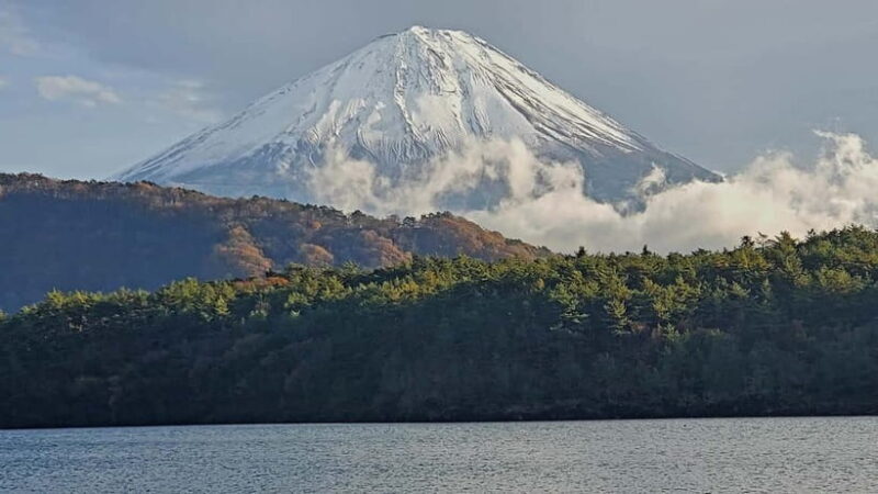 Mount Fuji & Hakone Private Tour with Bullet Train Return - Authentic Insights from Reviewers