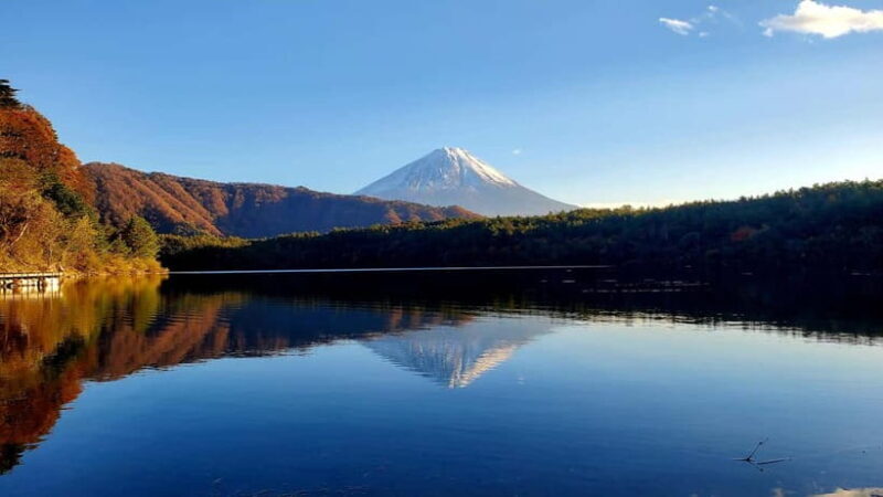 Mount Fuji & Hakone Private Tour with Bullet Train Return - Who Is This Tour Best For?