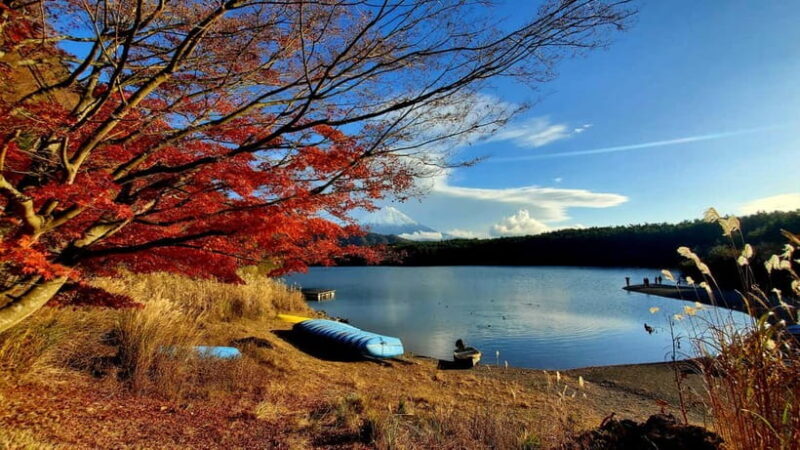 Mount Fuji & Hakone Private Tour with Bullet Train Return - The Itinerary & What to Expect