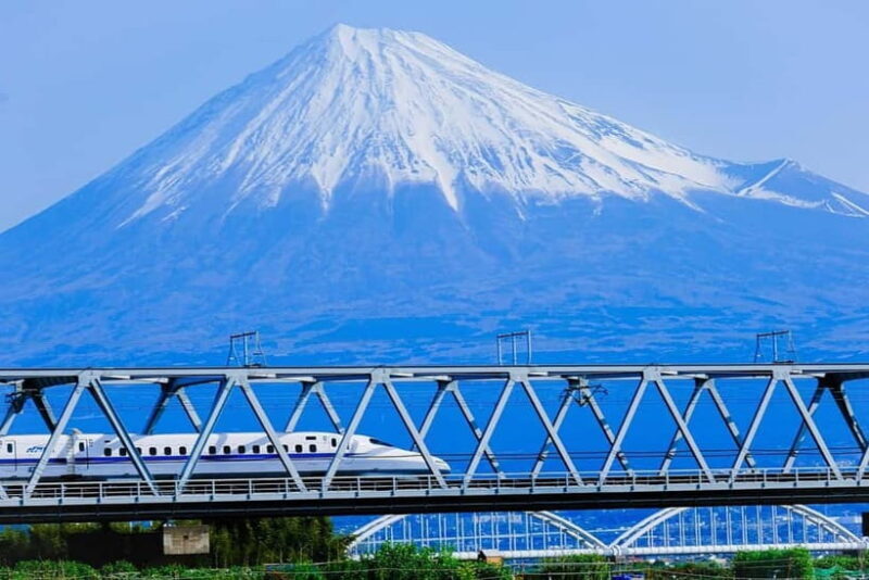 Mount Fuji & Hakone Private Tour with Bullet Train Return - Who Should Consider This Tour?