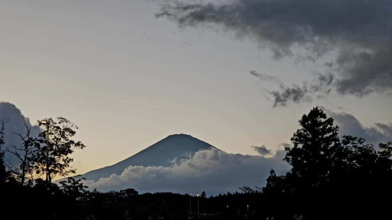 Mount Fuji & Hakone Private Tour with Bullet Train Return - FAQs