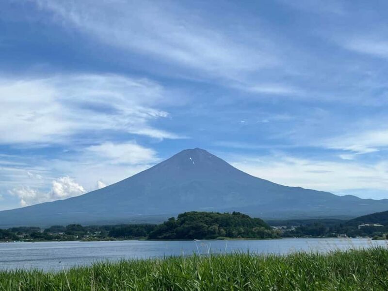 Mount Fuji & Hakone Private Tour with Cherry Blossoms - Good To Know