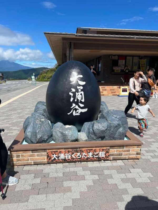Mount Fuji & Hakone Private Tour with Cherry Blossoms - What Makes This Tour Stand Out?
