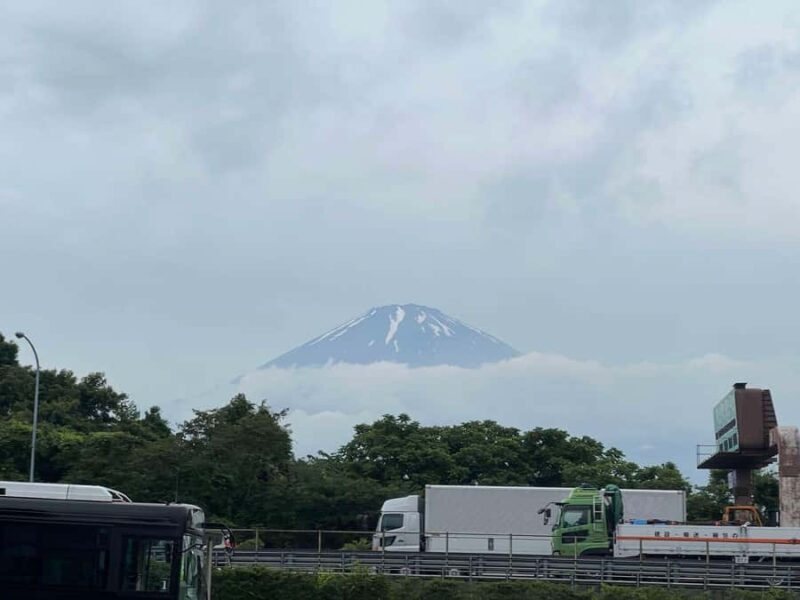 Mount Fuji & Hakone Private Tour with Cherry Blossoms - FAQ