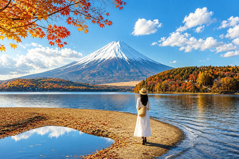 Mount Fuji & Hakone Six Major Scenic Spots Land, Water, and Air Check-in Day Tour [All-Inclusive] | Lake Ashi Water Torii & Hakone Shrine & Pirate Ship & Owakudani & Lake Yamanaka & Oshino Hakkai - Lake Ashi by pirate ship