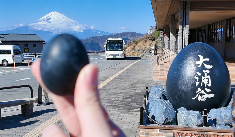 Mount Fuji & Hakone Small-group Day Tour with Hotel Pick-up - Hakone Shrine and the photo queue
